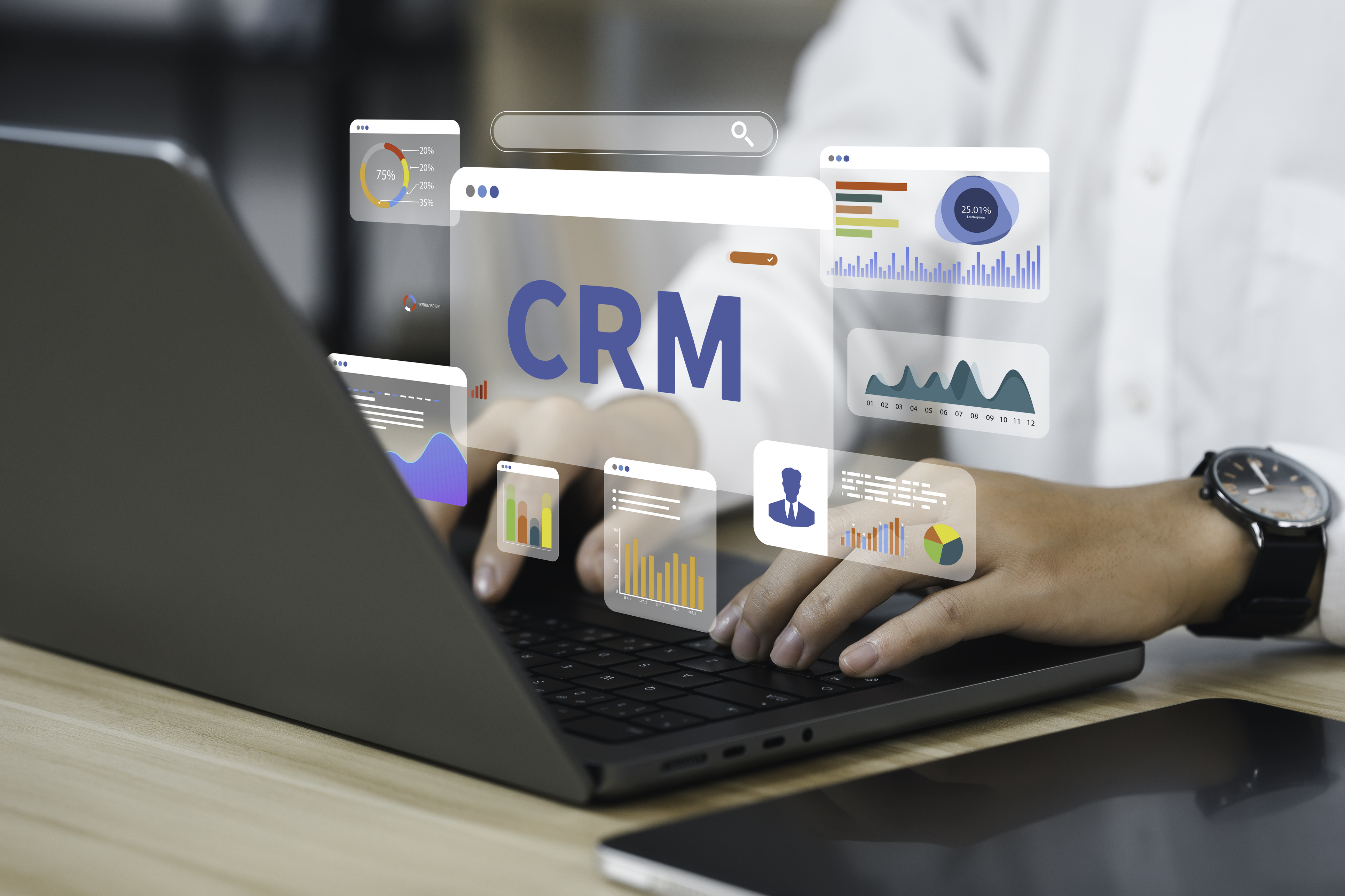 ERP & CRM Systems